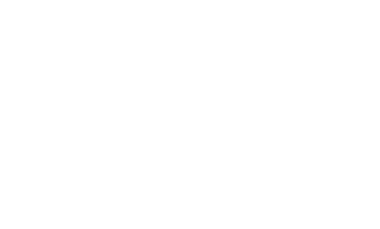 american orthopedic partners logo